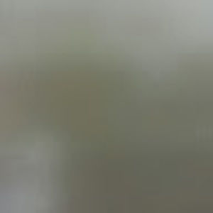 Meet your Posher, Dmitriy